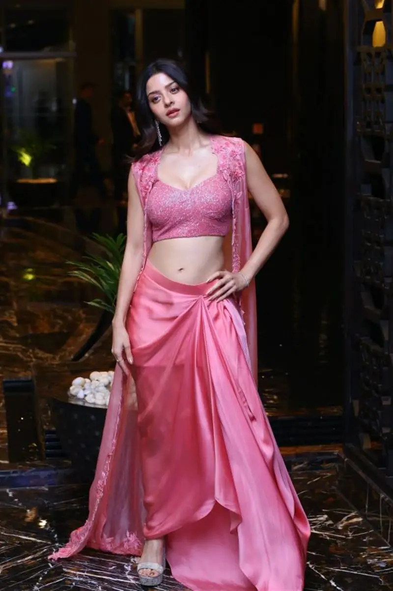 Vedhika Stills in Pink Lehenga Choli